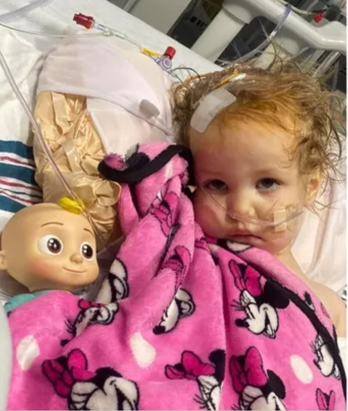 DONATION: 2 Year Old Diagnosed With Brain Cancer